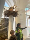 2A_muzeum_62