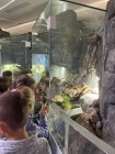 2A_muzeum_77