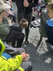 Zleby_3A_01