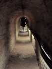 IMG-20250625-WA0038