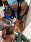 5B_muzeum_16