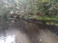 6B_adaptak_122