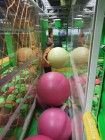 7A_FlyZonePark_29