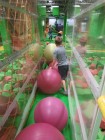 7A_FlyZonePark_30