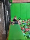 7A_FlyZonePark_66