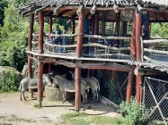 7A_Safari_07