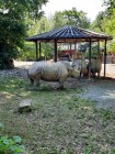 7A_Safari_16