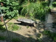 7A_Safari_48