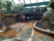 7A_Safari_52