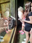 7A_Safari_56