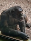 7A_Safari_57