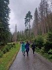 9A_Adaptak_02