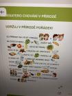 Druzina_01