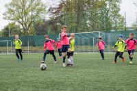 fotbal_11