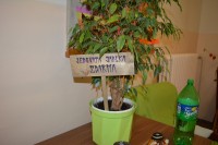 picture_06