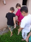 Letni-vyzva_35