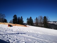 lyzak_56