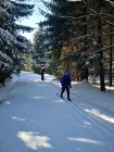 lyzak_68