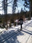 lyzak_80