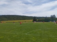 DOH_T_ball_17