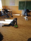 5B_Pejsci_40