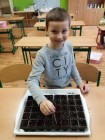 kedlubny_023