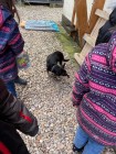 utulek_09