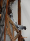 image_101