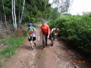 image_24