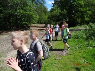 image_41