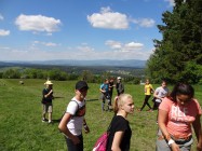 image_43