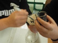 OLYMPUS DIGITAL CAMERA