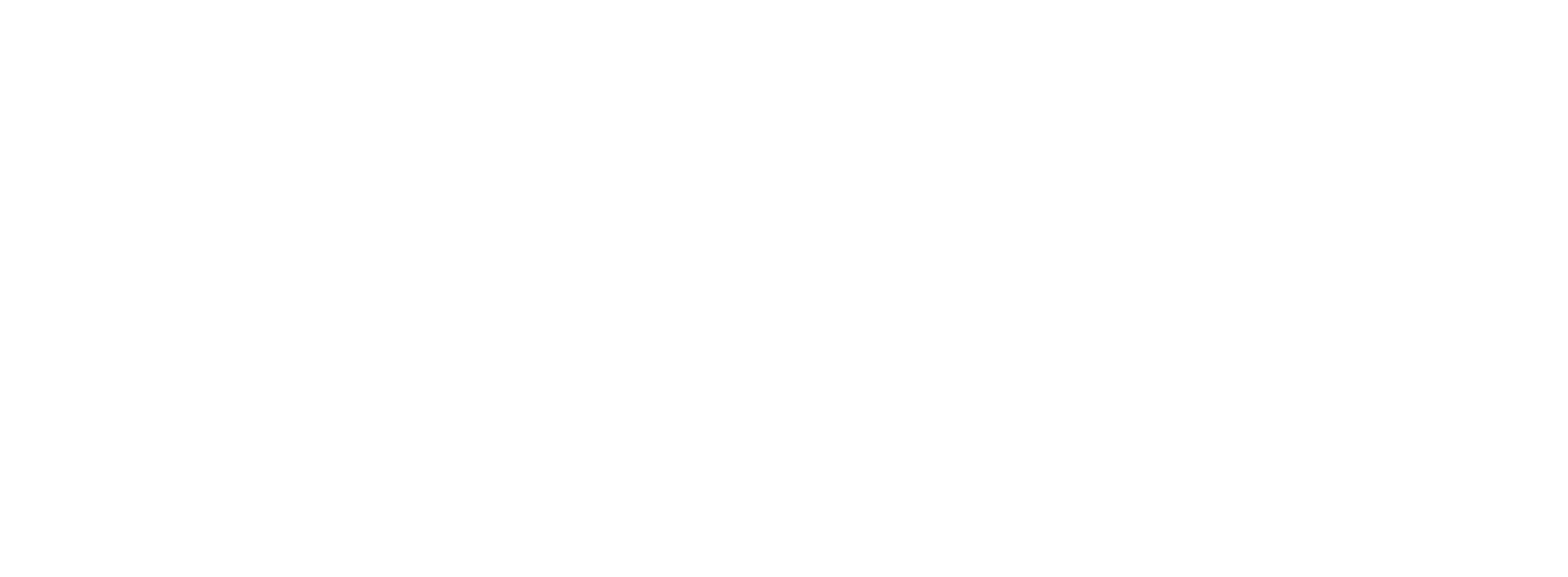Logo_novy_pokus_capital